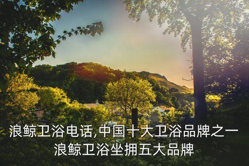 廣州浪鯨衛(wèi)浴電話,中國十大衛(wèi)浴品牌之一浪鯨衛(wèi)浴坐擁五大品牌