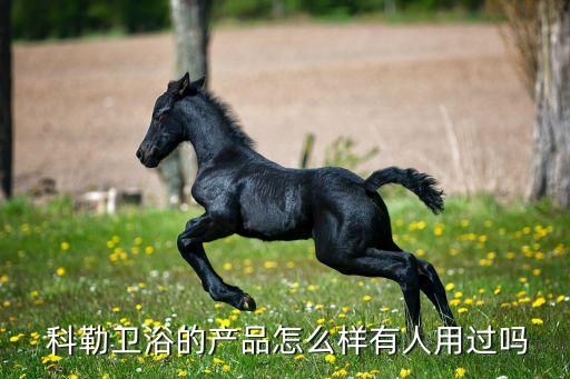 科勒衛(wèi)浴官網(wǎng)產(chǎn)品,想換高大上衛(wèi)浴產(chǎn)品?科勒可給你建議