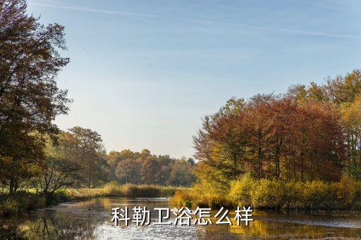 科勒衛(wèi)浴價格表,我覺得toto浴室比科勒的好,一分錢一分貨