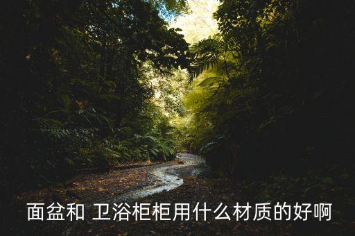  面盆和 衛(wèi)浴柜柜用什么材質(zhì)的好啊
