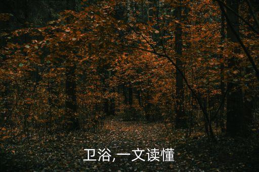 華為衛(wèi)浴,一文讀懂