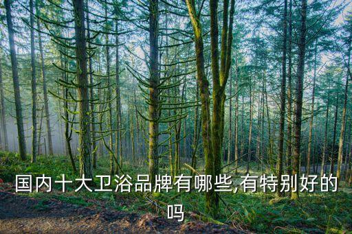 國內(nèi)十大衛(wèi)浴品牌有哪些,有特別好的嗎