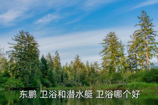 潮州東鵬衛(wèi)浴咋樣,不比潛艇差東鵬衛(wèi)浴產(chǎn)品質(zhì)量上乘聲譽(yù)高