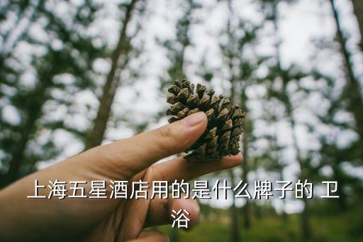 上海國外衛(wèi)浴,全球衛(wèi)浴十大品牌排名出爐