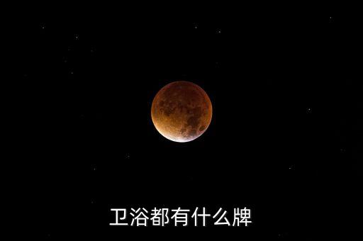 衛(wèi)浴都有什么牌