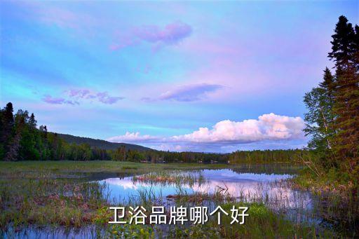 衛(wèi)浴品牌哪個好
