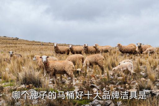 哪個牌子的馬桶好十大品牌潔具是