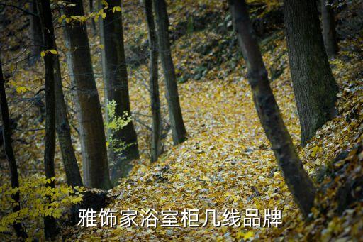 歐羅雅衛(wèi)浴加盟代理,雅仕家浴室柜采用多功能集成設(shè)計