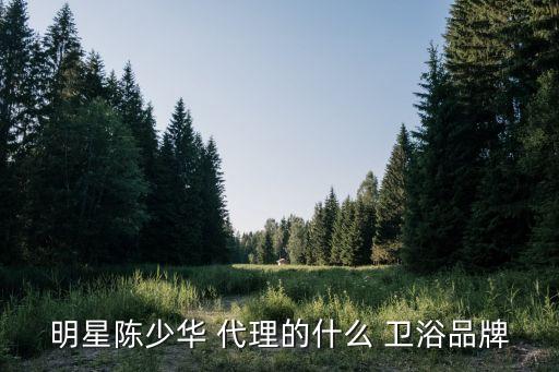 衛(wèi)浴建材代理,本地衛(wèi)浴品牌陳振華正式注冊成立