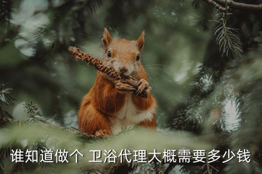 南通 衛(wèi)浴,南通世博城有歐洲品牌定制家具走入民眾家中