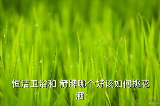 箭牌恒潔衛(wèi)浴那個好,衛(wèi)浴知多少?問與答（13）