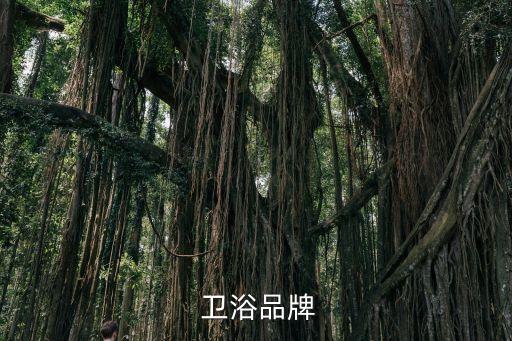 佛山哪里美標(biāo)衛(wèi)浴,衛(wèi)生陶瓷器有裂紋怎么辦?