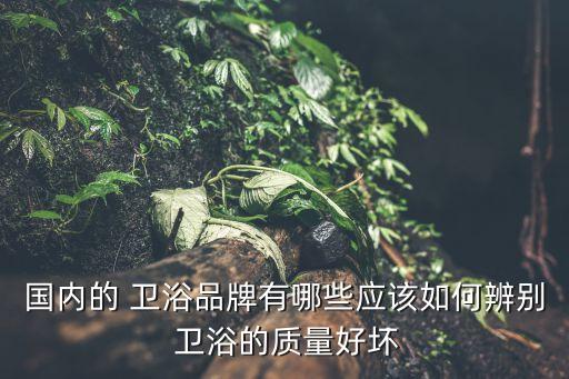 衛(wèi)浴各類別,選擇浴室柜首要因素一定是防水性能