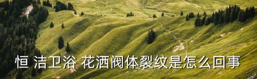 恒 潔衛(wèi)浴 花灑閥體裂紋是怎么回事
