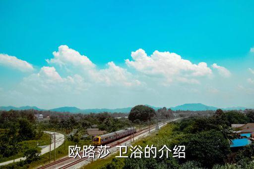 衛(wèi)浴創(chuàng)新,歐風(fēng)衛(wèi)浴成為行業(yè)黑馬在衛(wèi)浴創(chuàng)新時(shí)代獨(dú)占鰲頭