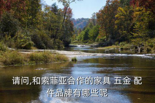 精品衛(wèi)浴五金配件,索菲亞與多個品牌合作推出櫥柜定制配件