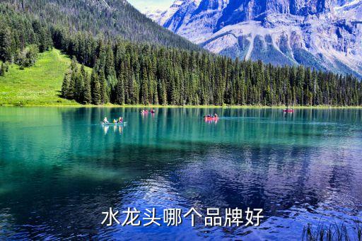  水龍頭哪個品牌好