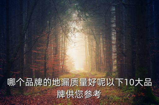 帝朗衛(wèi)浴搜房,裝修衛(wèi)生間地漏選擇好不好?