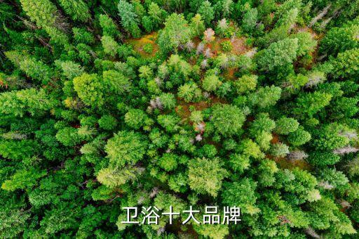 牧鷹衛(wèi)浴和恒潔衛(wèi)浴,我家衛(wèi)浴就是找這個(gè)牌子買的價(jià)格不貴