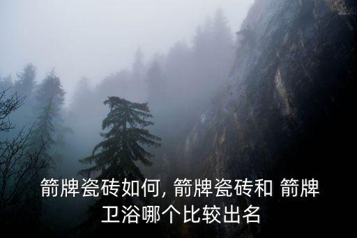  箭牌瓷磚如何, 箭牌瓷磚和 箭牌 衛(wèi)浴哪個比較出名