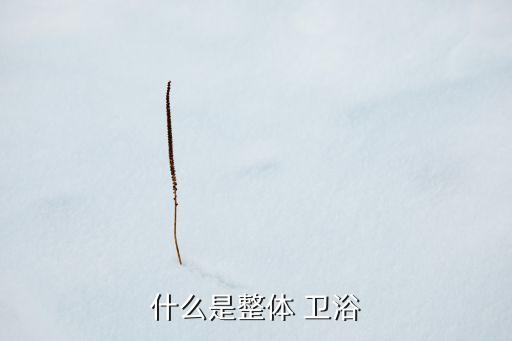 一體式衛(wèi)浴定制,衛(wèi)生間裝修成一體淋浴房?jī)r(jià)格比較昂貴