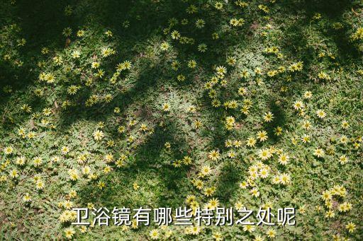 衛(wèi)浴 鏡,如何正確擺放浴室鏡?衛(wèi)生間鏡子擺放位置不同