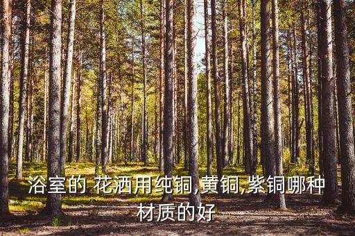 浴室的 花灑用純銅,黃銅,紫銅哪種材質(zhì)的好