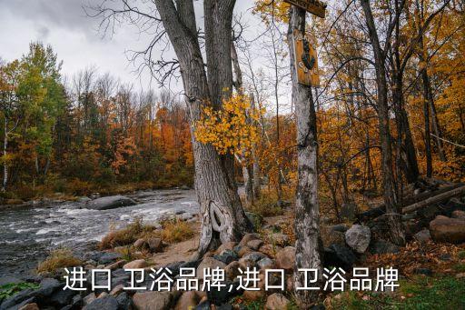 德國漢莎衛(wèi)浴 青島,衛(wèi)浴知多少?看看這里!
