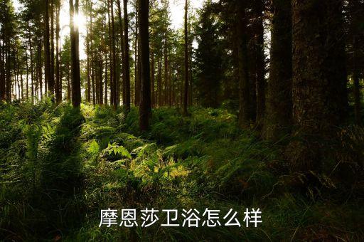 摩恩莎衛(wèi)浴怎么樣