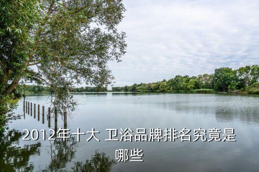 2012年十大 衛(wèi)浴品牌排名究竟是哪些