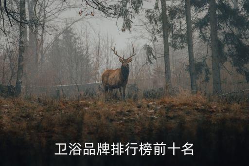 衛(wèi)浴品牌排行榜前十名