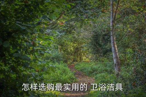 衛(wèi)浴標價高好還是低好,衛(wèi)生產(chǎn)品應(yīng)以實用性為最高選擇標準