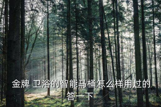  金牌 衛(wèi)浴的智能馬桶怎么樣用過的答一下
