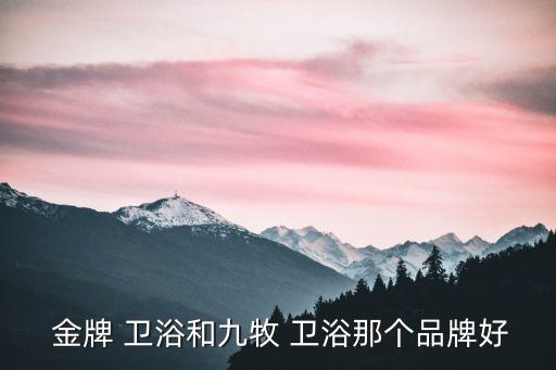 金牌 衛(wèi)浴和九牧 衛(wèi)浴那個(gè)品牌好