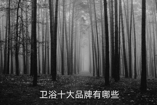  衛(wèi)浴十大品牌有哪些