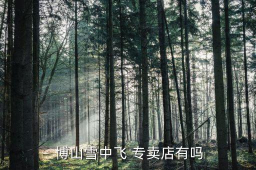  博山雪中飛 專賣(mài)店有嗎