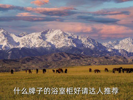 銀晶衛(wèi)浴圖片,ac銀晶品牌注重打造高品質(zhì)衛(wèi)浴產(chǎn)品