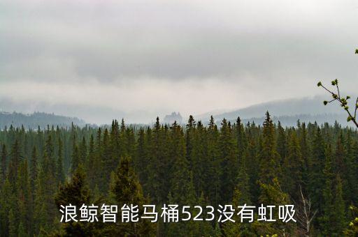 浪鯨智能馬桶523沒有虹吸