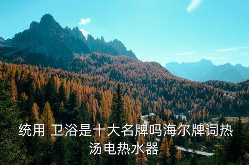  統(tǒng)用 衛(wèi)浴是十大名牌嗎海爾牌詞熱湯電熱水器
