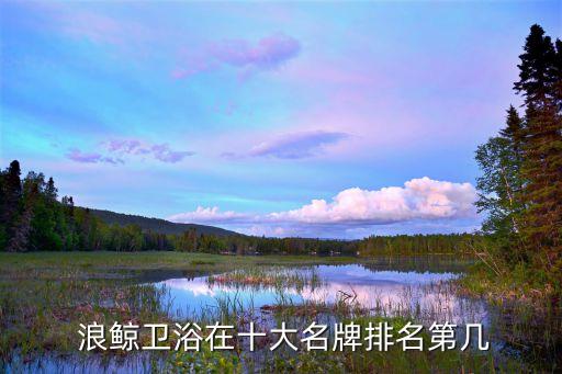 武漢浪鯨衛(wèi)浴售后電話,要了解浪鯨衛(wèi)浴先從產(chǎn)品說起