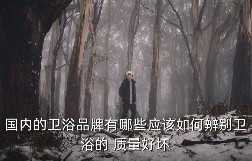 和蒙衛(wèi)浴質(zhì)量,選購衛(wèi)浴產(chǎn)品注意事項(xiàng):外觀不能代表質(zhì)量