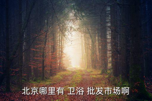 北京哪里有 衛(wèi)浴 批發(fā)市場啊