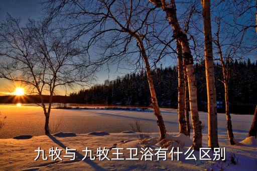  九牧與 九牧王衛(wèi)浴有什么區(qū)別