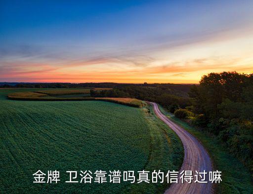 金牌衛(wèi)浴官網rf1195,金牌衛(wèi)浴怎么樣?水龍頭很不錯!