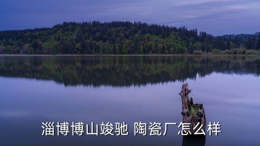  淄博博山竣馳 陶瓷廠怎么樣