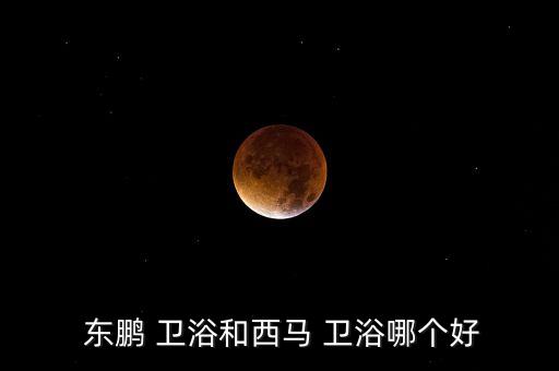 衛(wèi)浴東鵬,衛(wèi)生陶瓷、家具、休閑衛(wèi)浴知多少?問與答（20）