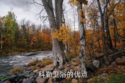 科勒衛(wèi)浴為什么貴,科勒衛(wèi)浴節(jié)省安裝麻煩和時間