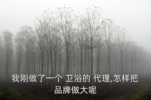 衛(wèi)浴代理怎么操作,中國十大衛(wèi)浴品牌排名出爐看看這里!