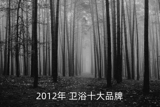 2012年 衛(wèi)浴十大品牌