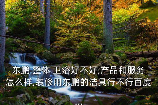 整體衛(wèi)浴那家質(zhì)量最好,關(guān)于董家衛(wèi)浴你必須知道的事兒